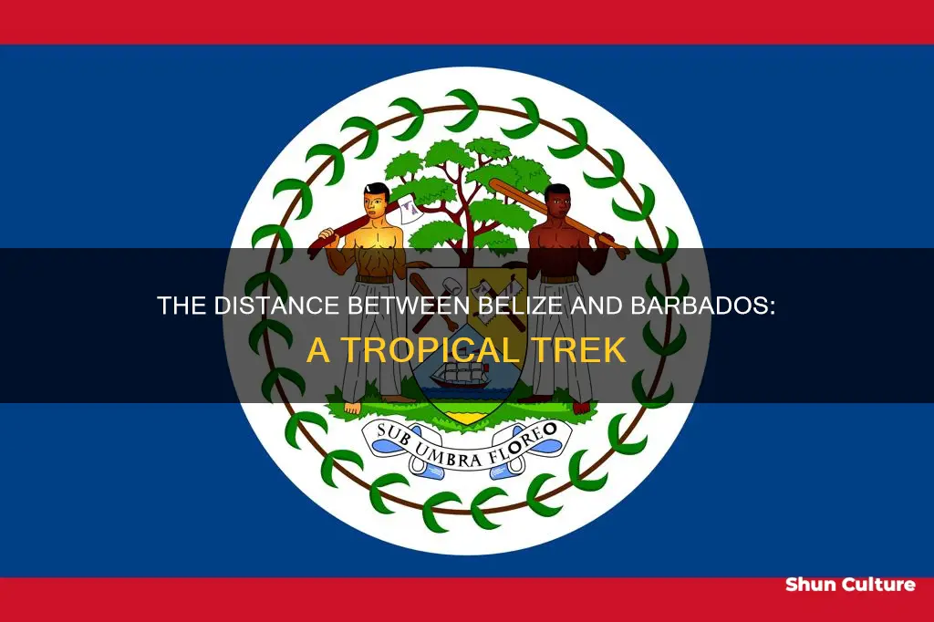 how far is belize from barbados