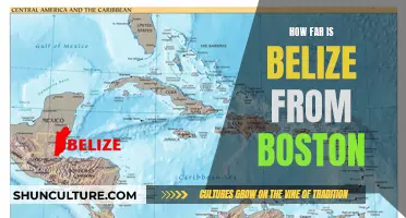 Belize Beckons: A Bostonian's Guide to the Distance and Delights of This Tropical Haven