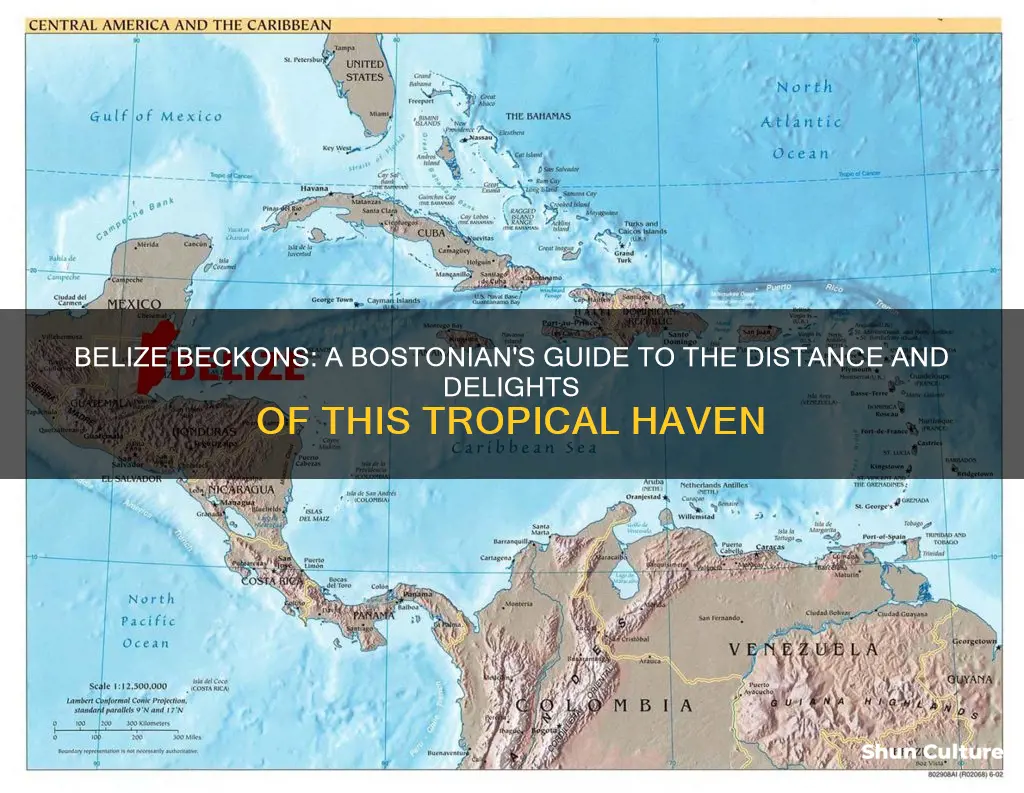 how far is belize from boston