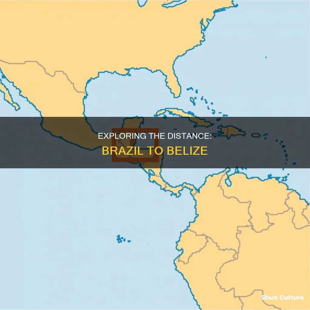 how far is belize from brazil