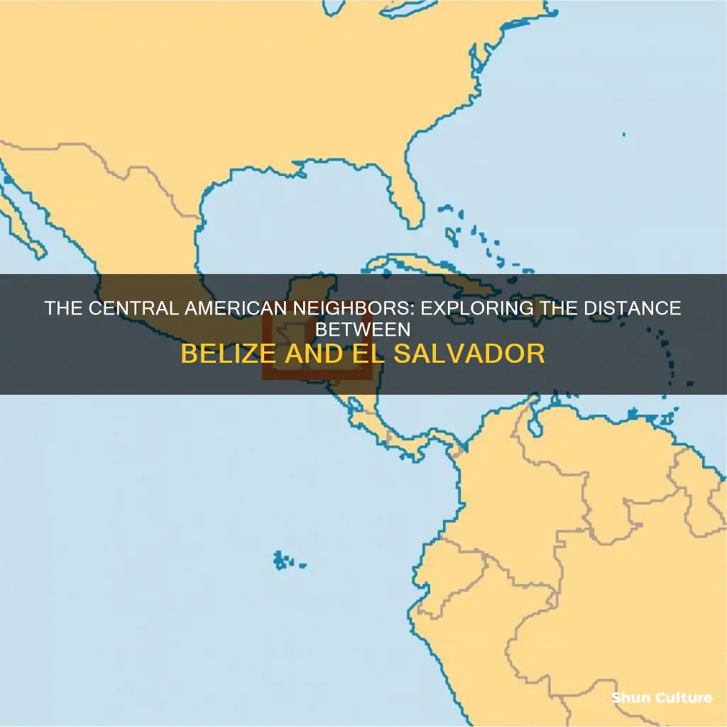 how far is belize from el salvador