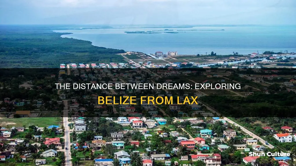 how far is belize from lax