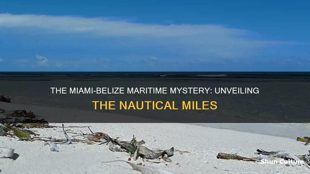 how far is belize from miami by boat