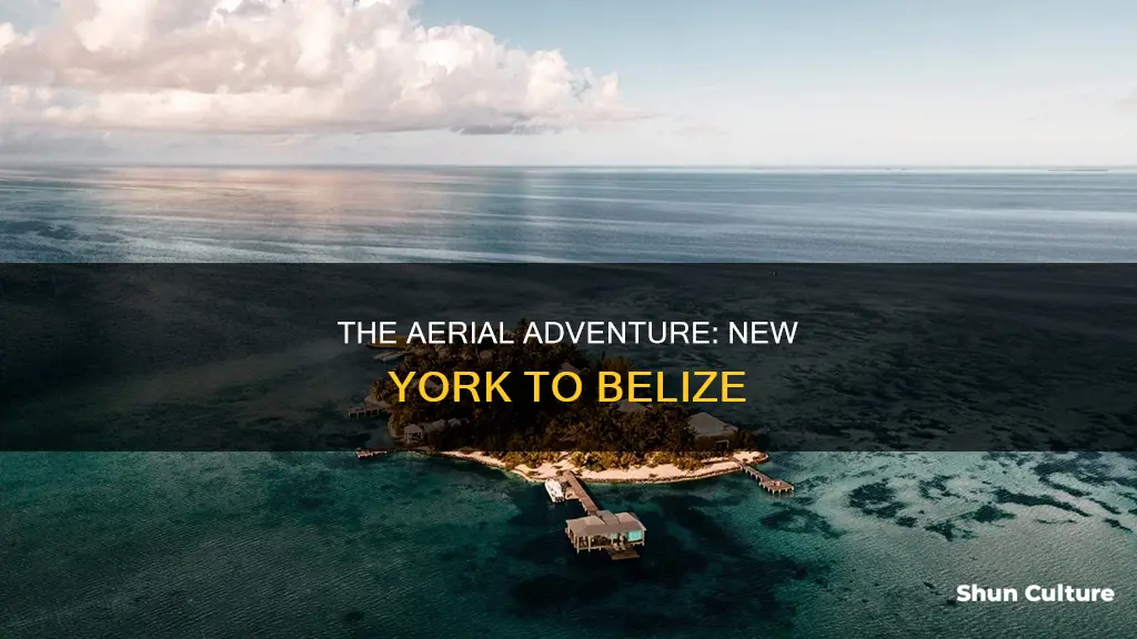 how far is belize from new york by plane