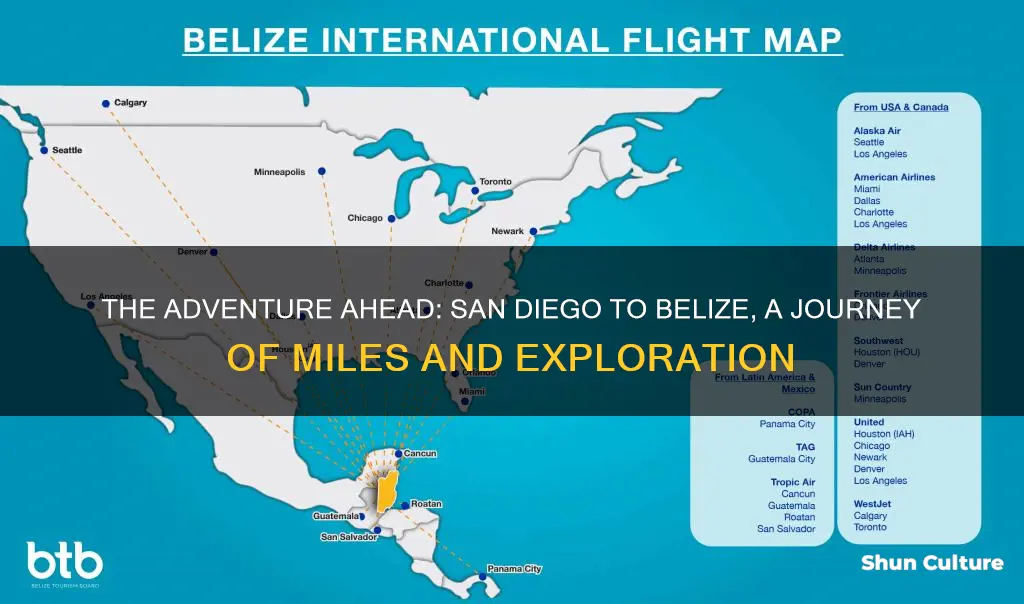 how far is belize from san diego