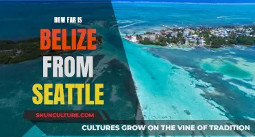 The Enigmatic Distance: Unveiling the Spatial Mystery Between Belize and Seattle