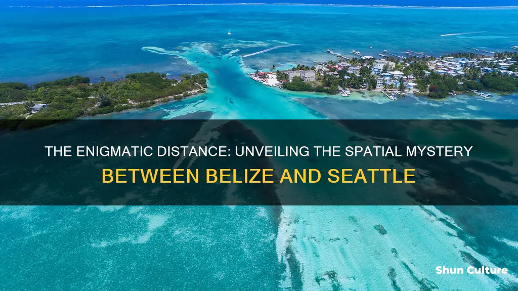 how far is belize from seattle