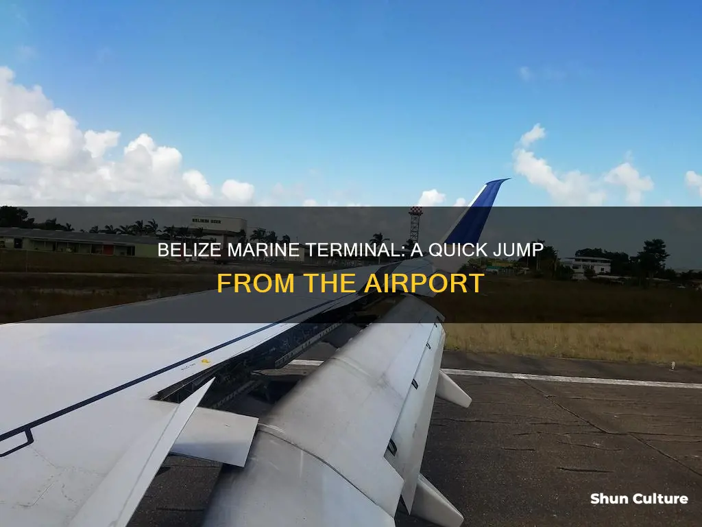 how far is belize marine terminal from airport