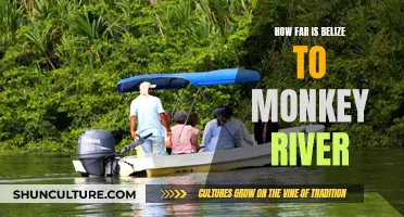 Belize's Southern Coast: The Distance Between Belize City and Monkey River