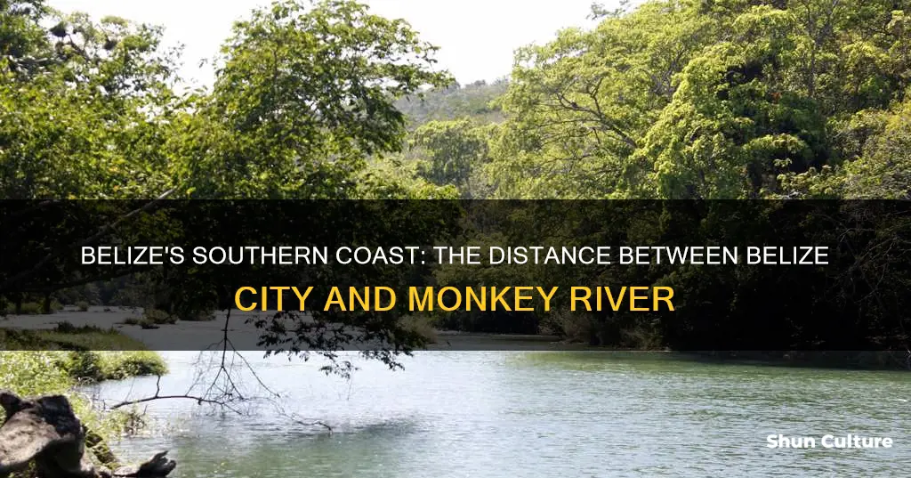 how far is belize to monkey river