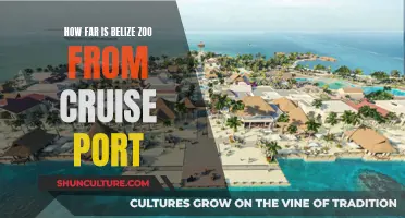 Belize Zoo Adventure: A Short Jaunt from the Cruise Port