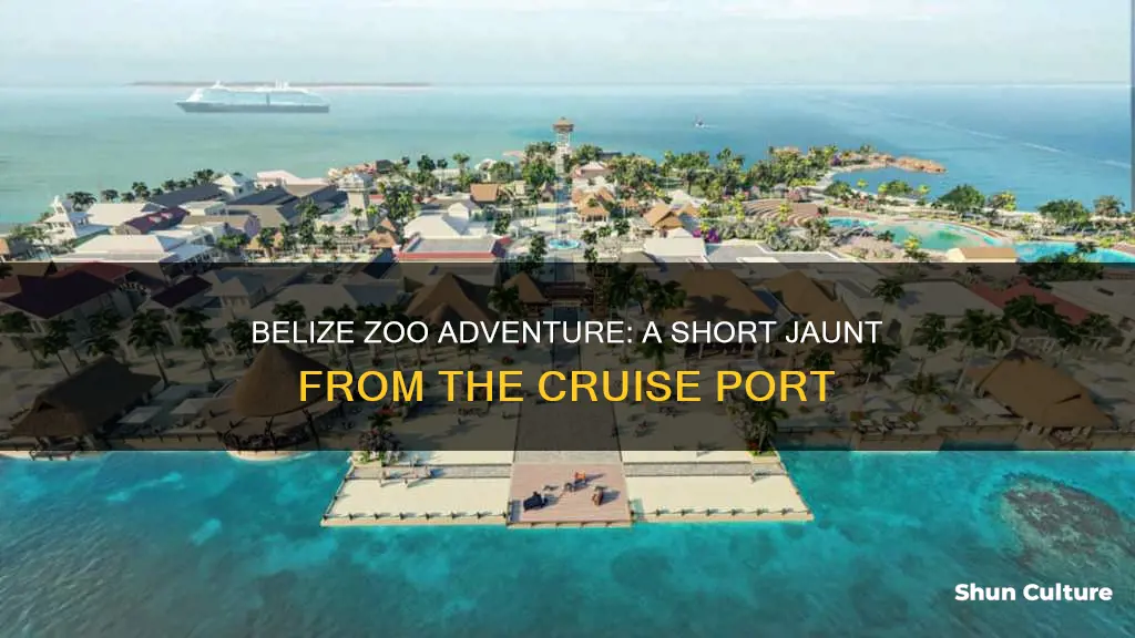 how far is belize zoo from cruise port