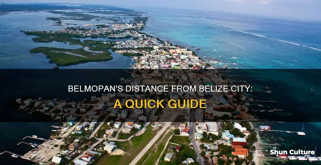 how far is belmopan from belize city