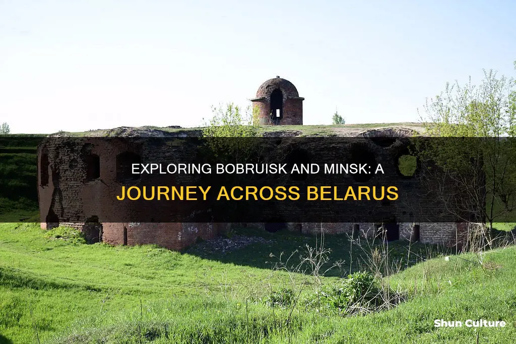 how far is bobruisk belarus from minsk belasrus