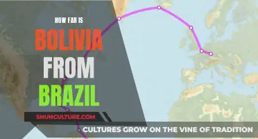 Exploring Distances: Bolivia and Brazil's Unique Proximity