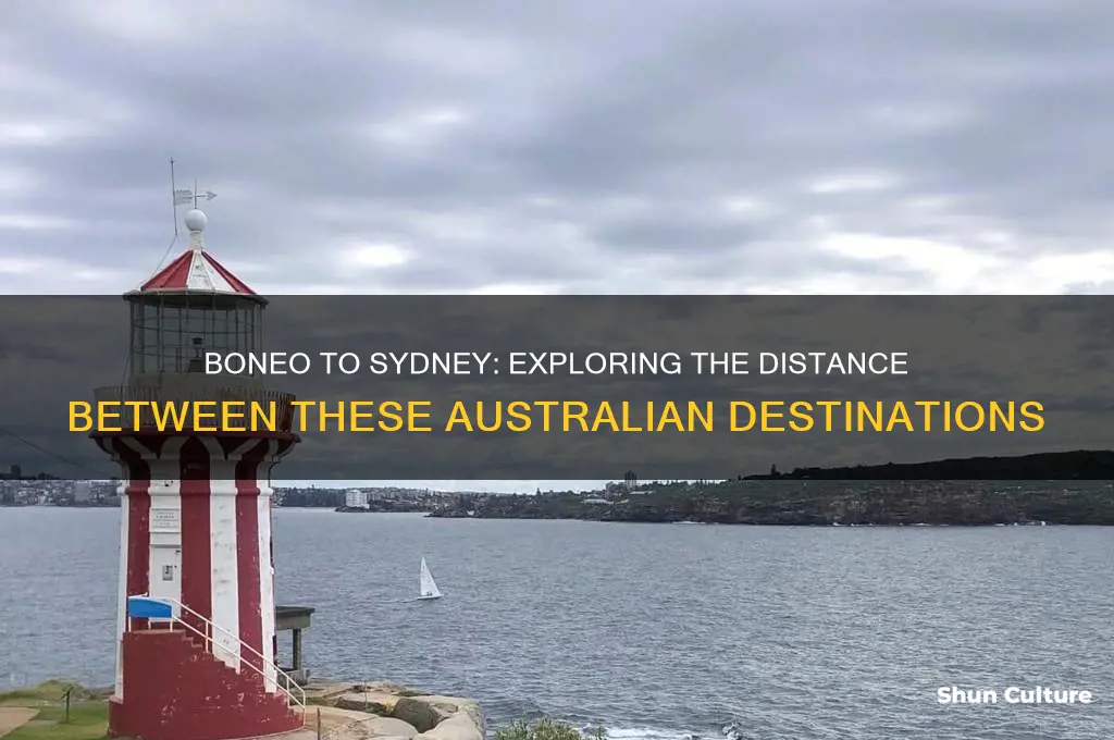how far is boneo australia away from sydney