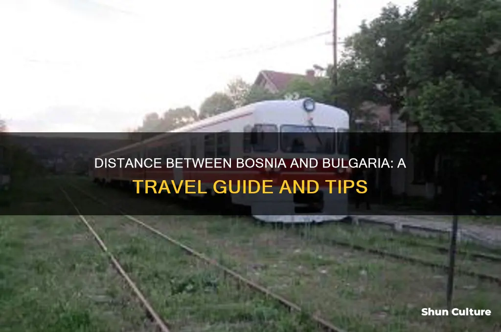 how far is bosnia from bulgaria