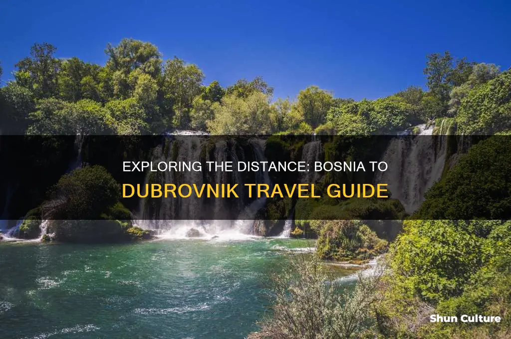how far is bosnia from dubrovnik
