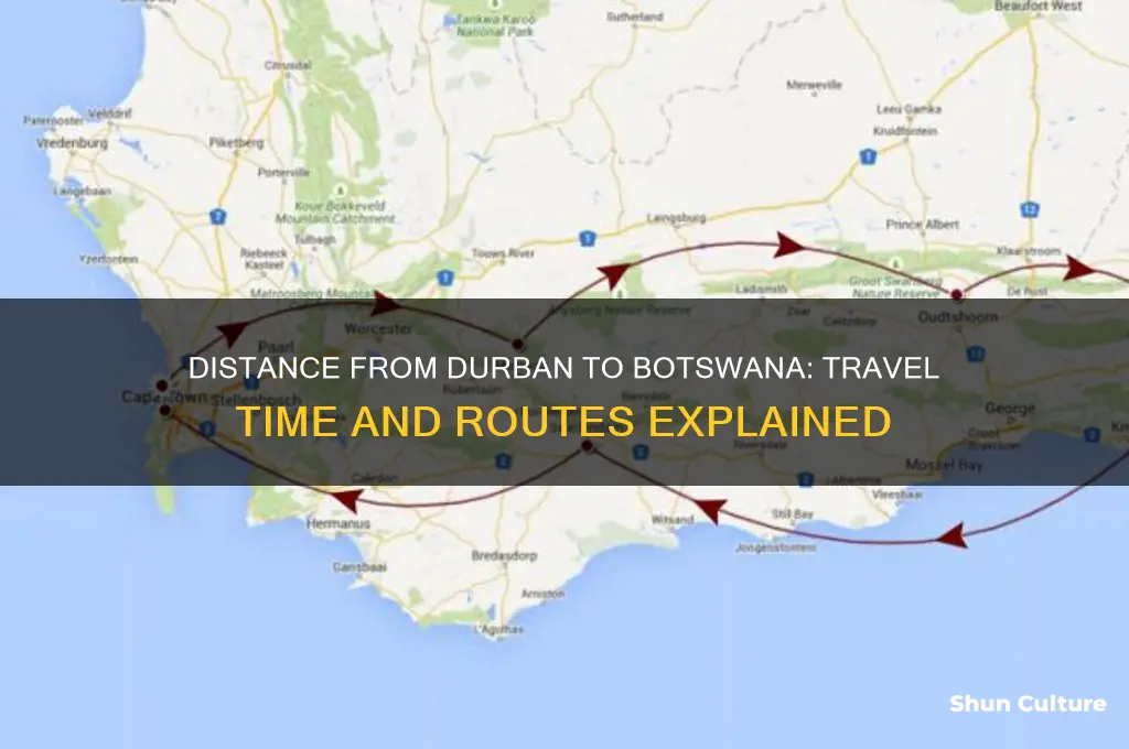 how far is botswana from durban