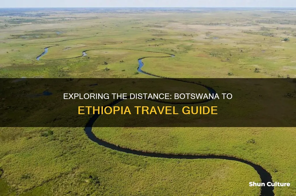 how far is botswana from ethiopia
