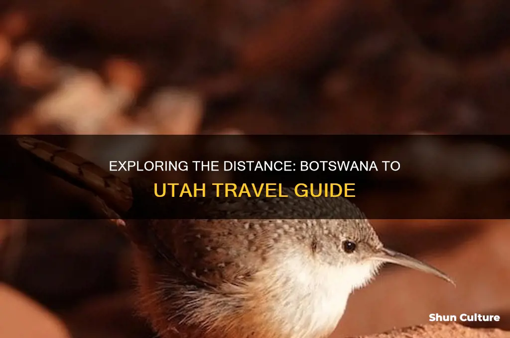 how far is botswana from utah