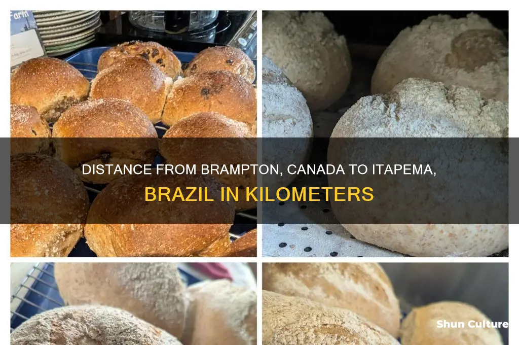 how far is brampton canada from itapema brazil in km