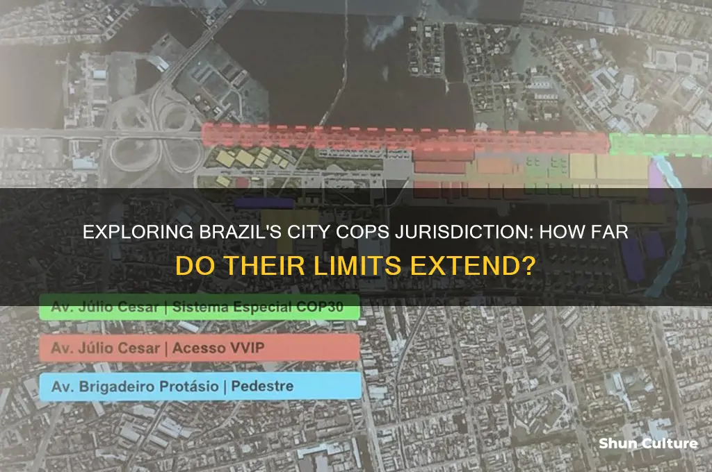 how far is brazil city cops city limits