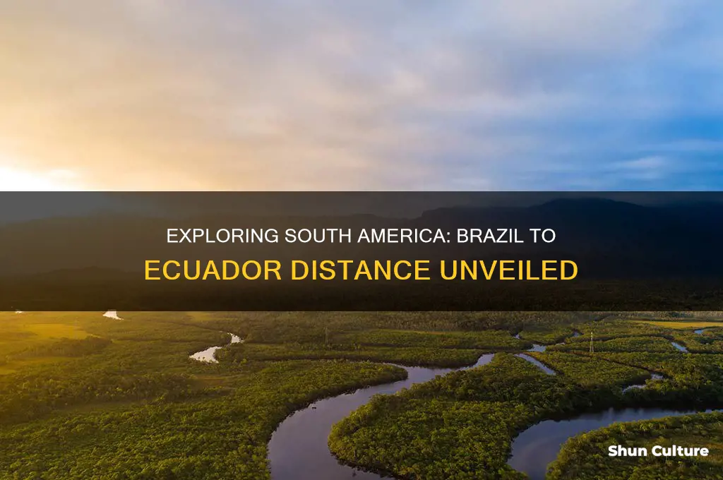 how far is brazil from ecuador