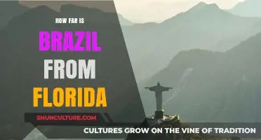 Exploring the Distance: How Far is Brazil from Florida?