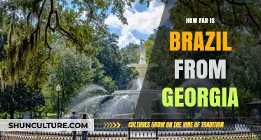 Exploring the Distance: Brazil to Georgia Travel Guide