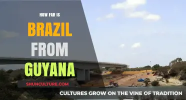 Exploring the Distance: Brazil to Guyana Travel Guide