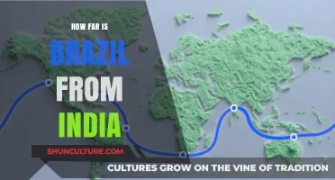 Exploring the Distance: Brazil to India Travel Guide