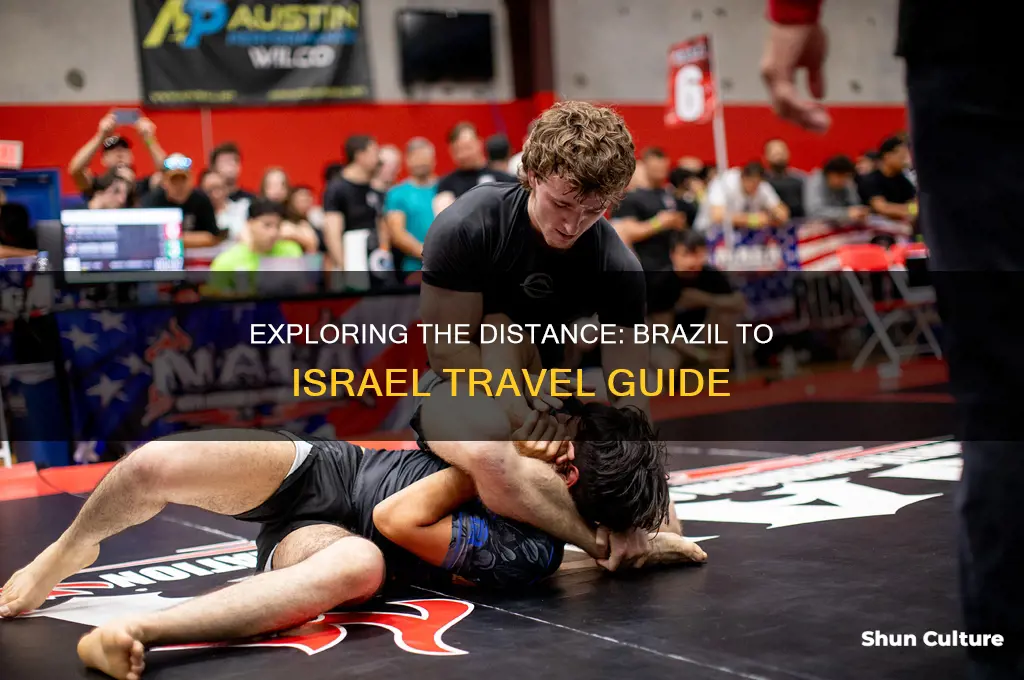 how far is brazil from israel
