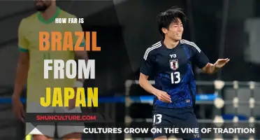 Exploring the Distance: Brazil to Japan Travel Guide