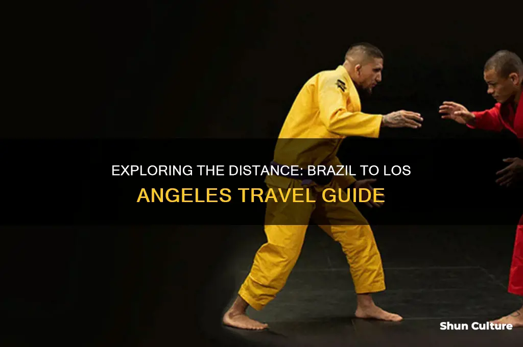 how far is brazil from los angeles