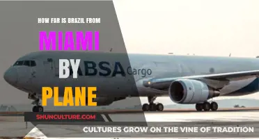 Miami to Brazil Flight: Distance, Duration, and Travel Tips
