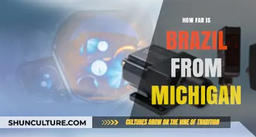 Exploring the Distance: Brazil to Michigan Travel Guide