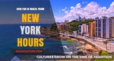 Travel Time: Brazil to New York Flight Hours Explained