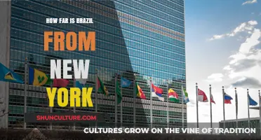 Exploring the Distance: Brazil to New York Travel Guide