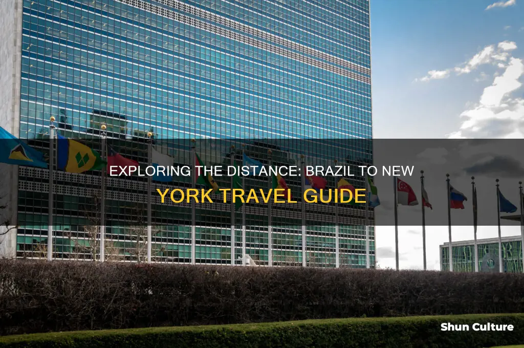 how far is brazil from new york