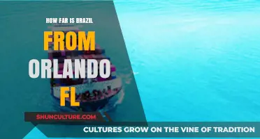 Exploring the Distance: Brazil to Orlando, Florida Travel Guide