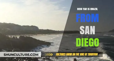 Exploring the Distance: Brazil to San Diego Travel Guide