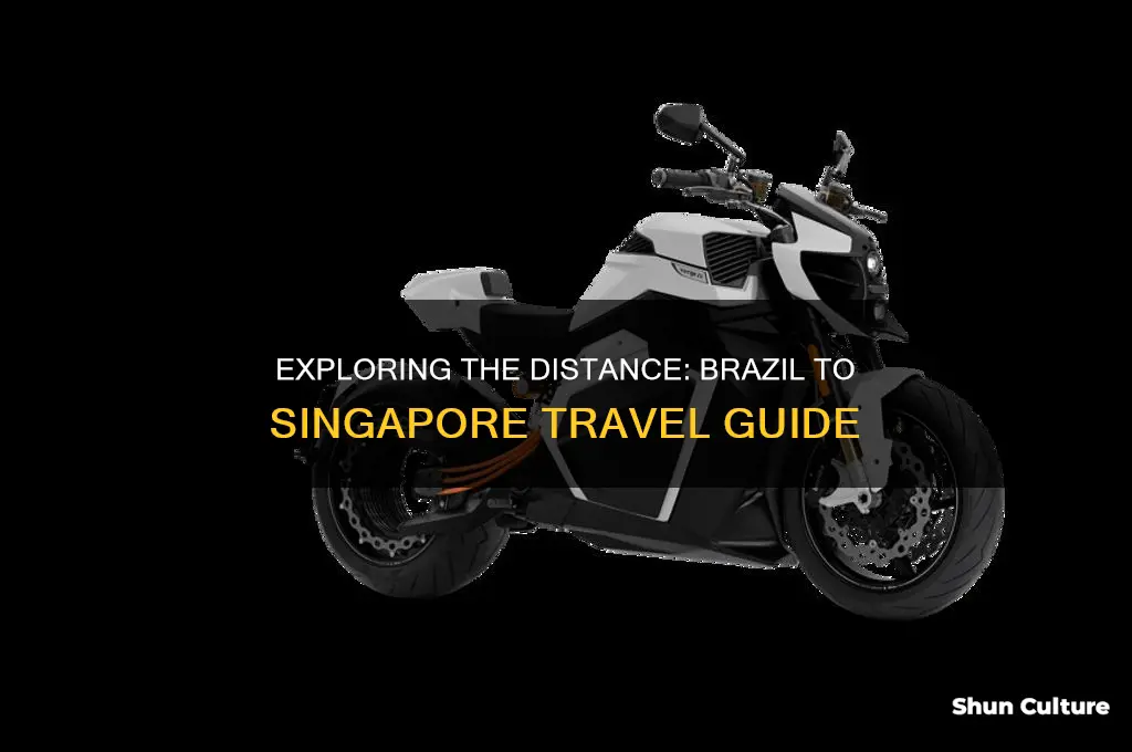 how far is brazil from singapore