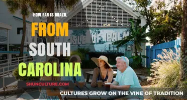 Exploring the Distance: Brazil to South Carolina Travel Guide