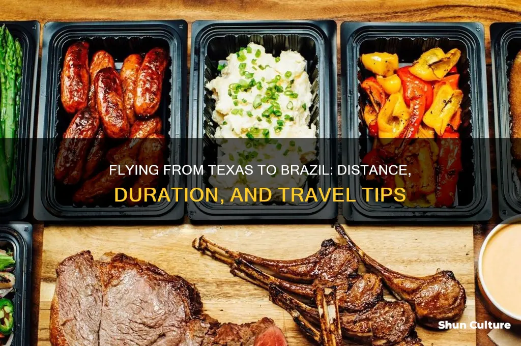 how far is brazil from texas by plane