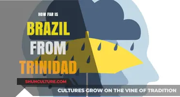 Distance Between Brazil and Trinidad: A Comprehensive Travel Guide
