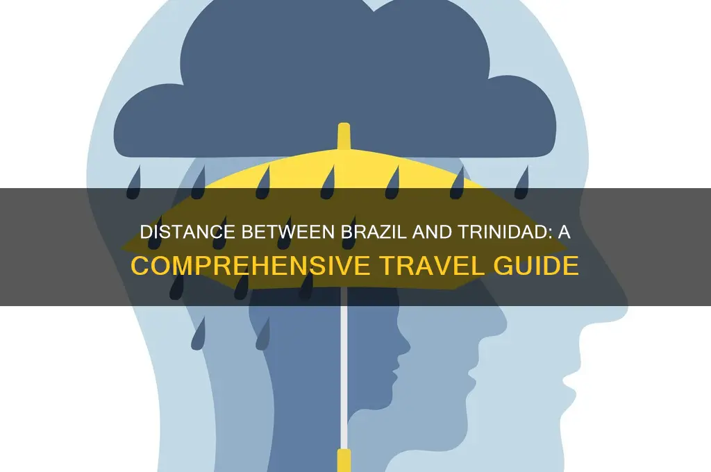how far is brazil from trinidad