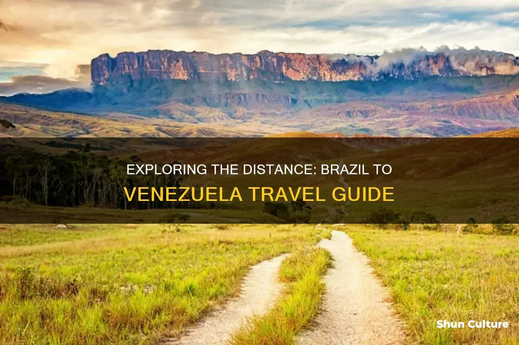 how far is brazil from venezuela
