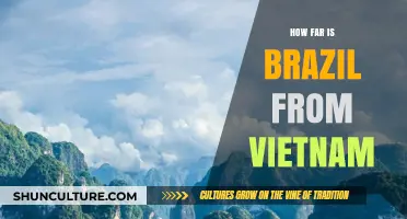 Exploring the Distance: Brazil to Vietnam Travel Insights