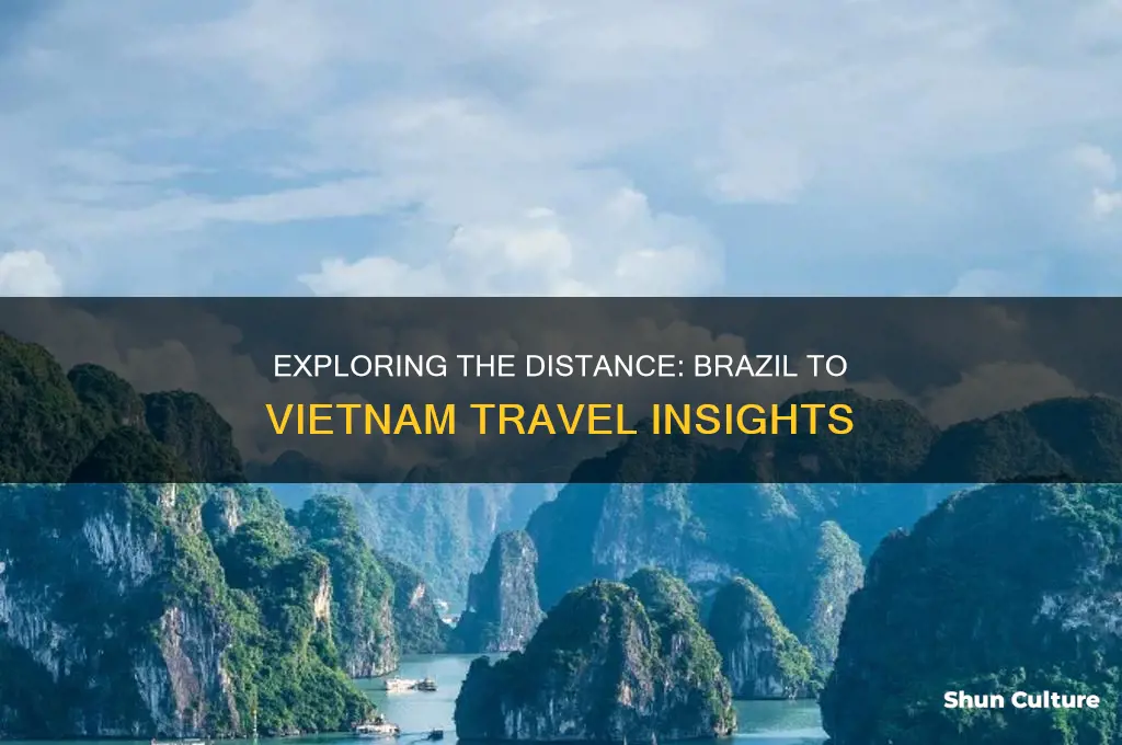 how far is brazil from vietnam